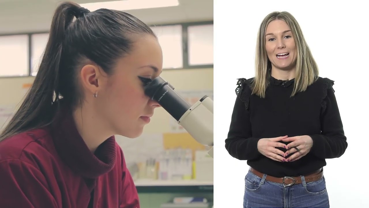 ¿Conoces las Becas Extremadura es Futuro?