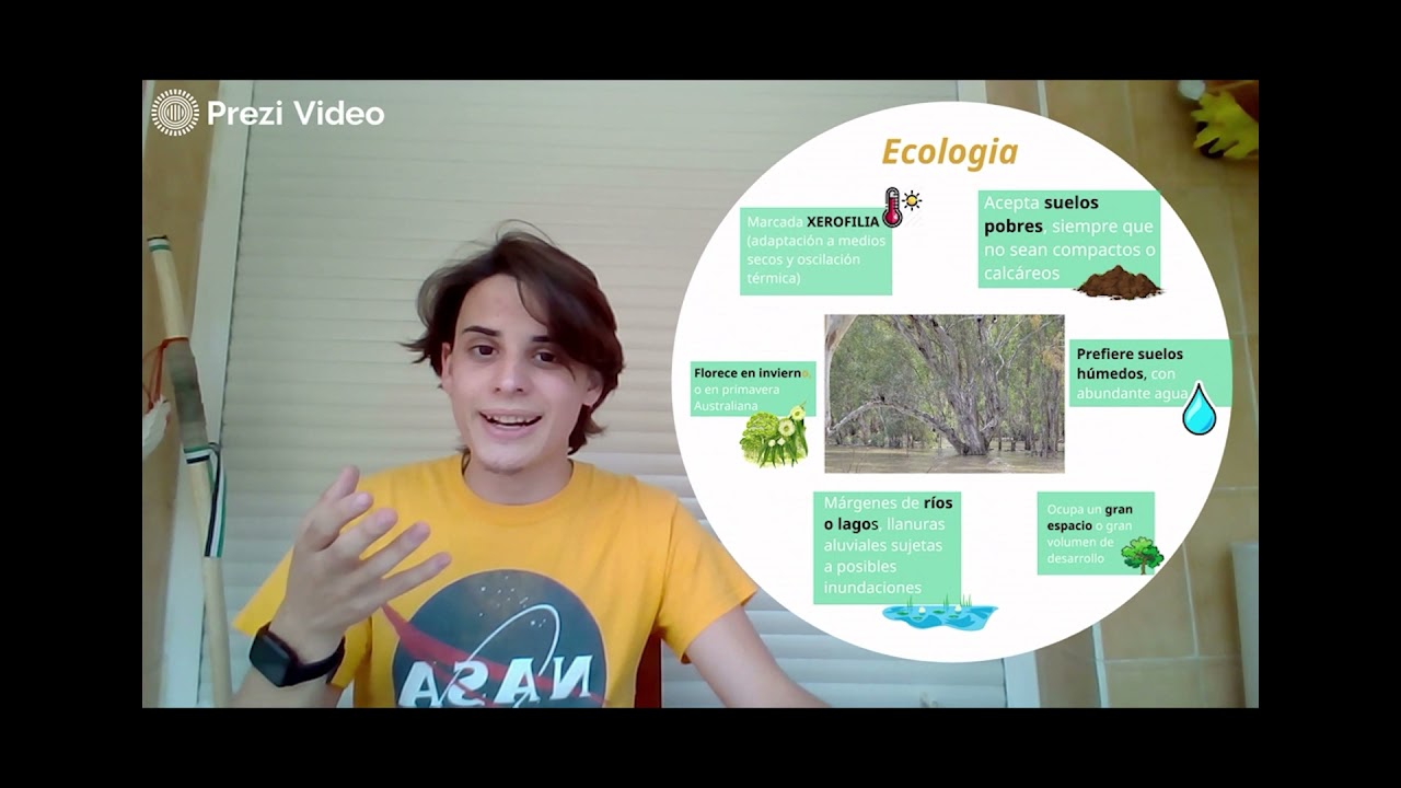 LA NOCHE Plants4People - Sesión 17:30