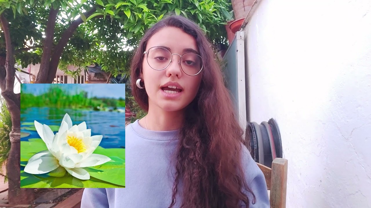 LA NOCHE Plants4People - Sesión 16:30