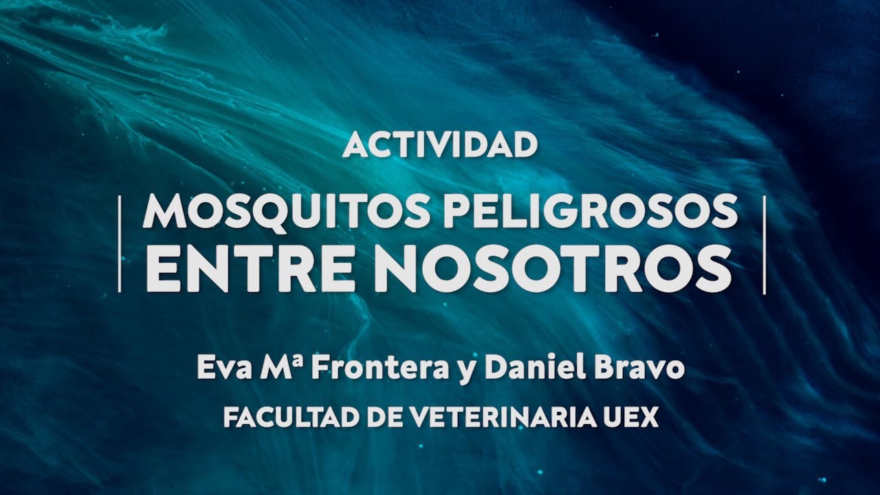 Mosquitos peligrosos entre nosotros