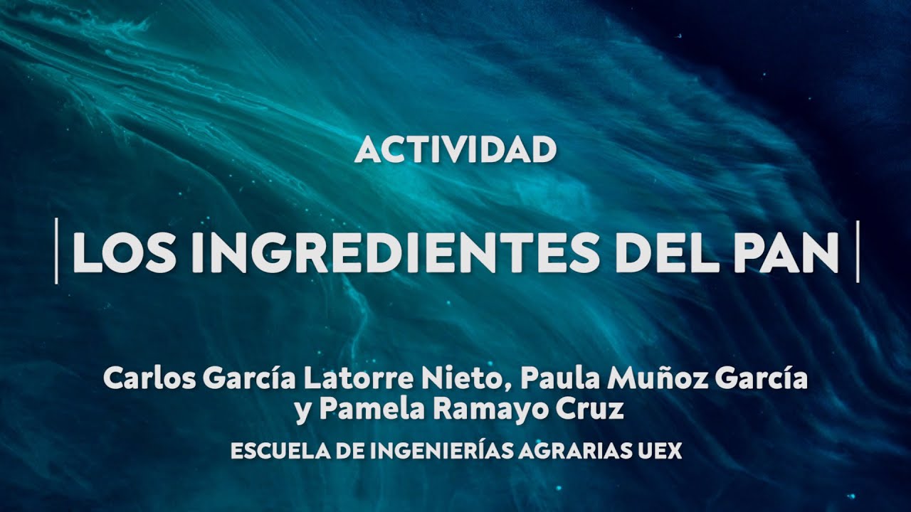 Los ingredientes del pan