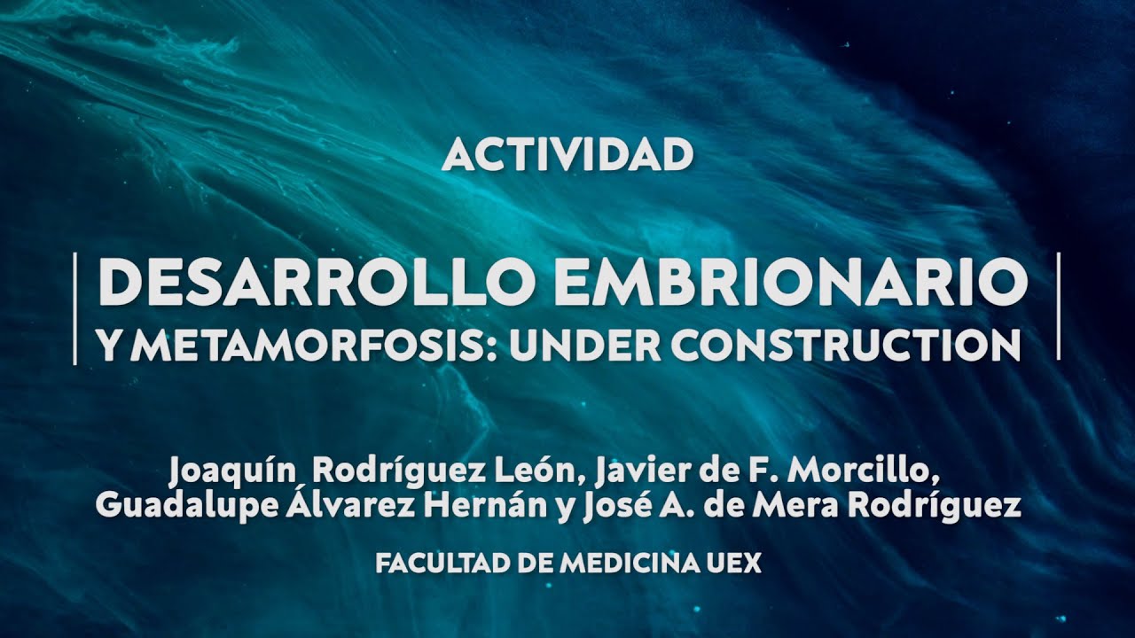 DESARROLLO EMBRIONARIO Y METAMORFOSIS: UNDER CONSTRUCTION