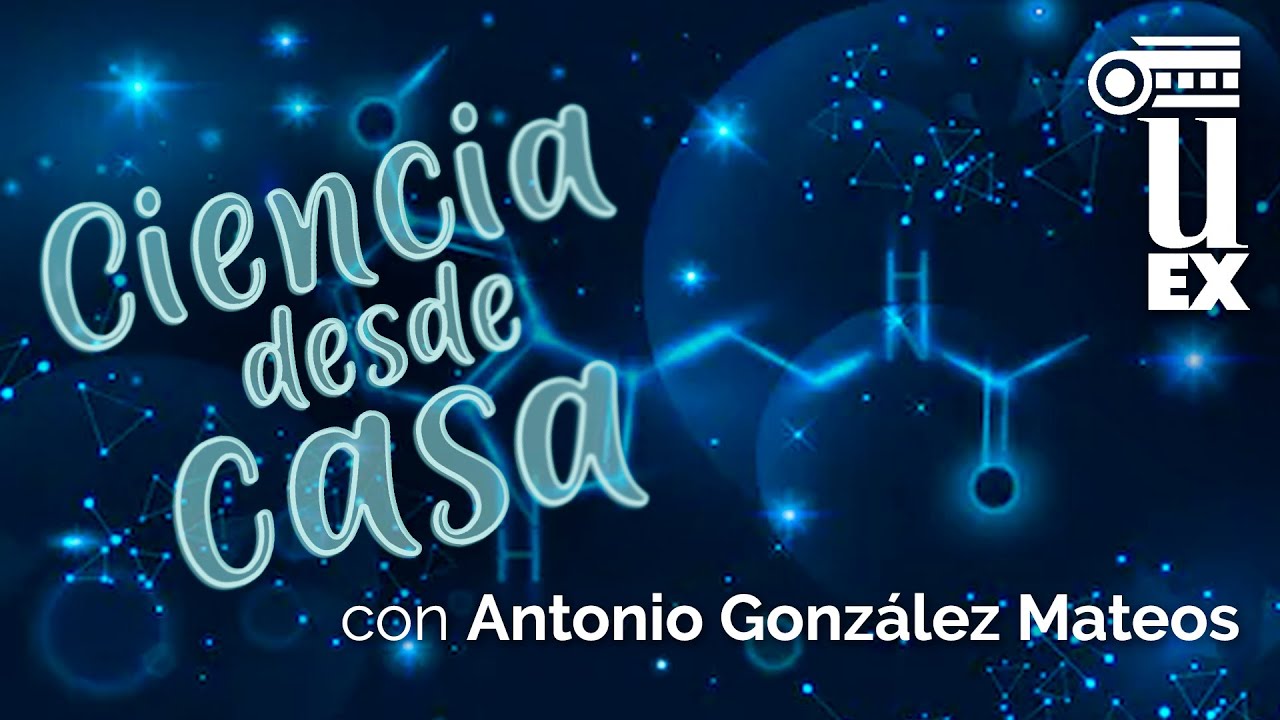 Efectos de la melatonina sobre la fisiología del páncreas exocrino, por Antonio González