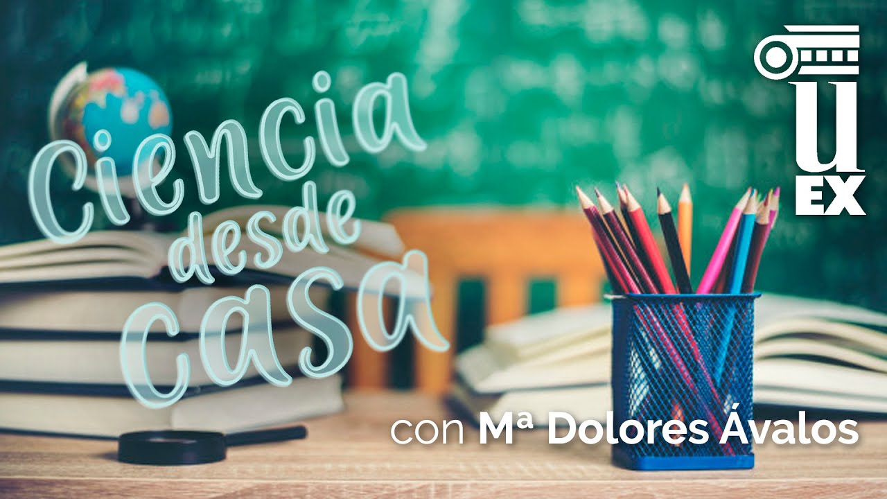 Procesos Lingüísticos en la Internacionalización de la Univ. Ecuatoriana, por Mª Dolores Ávalos