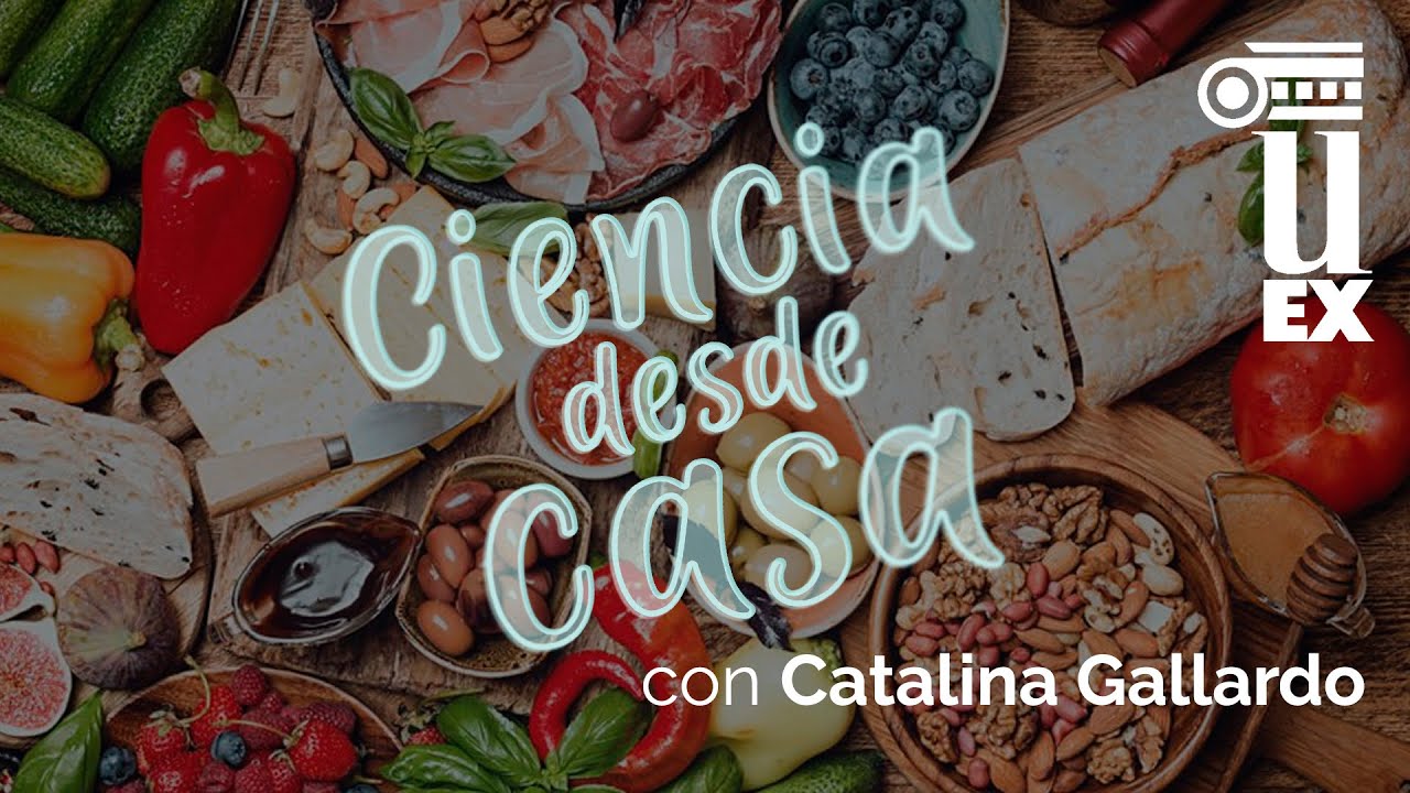 Desmontando mitos en nutrición, por Catalina Gallardo | CienciaDesdeCasa
